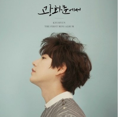 보틀버건디 이미지