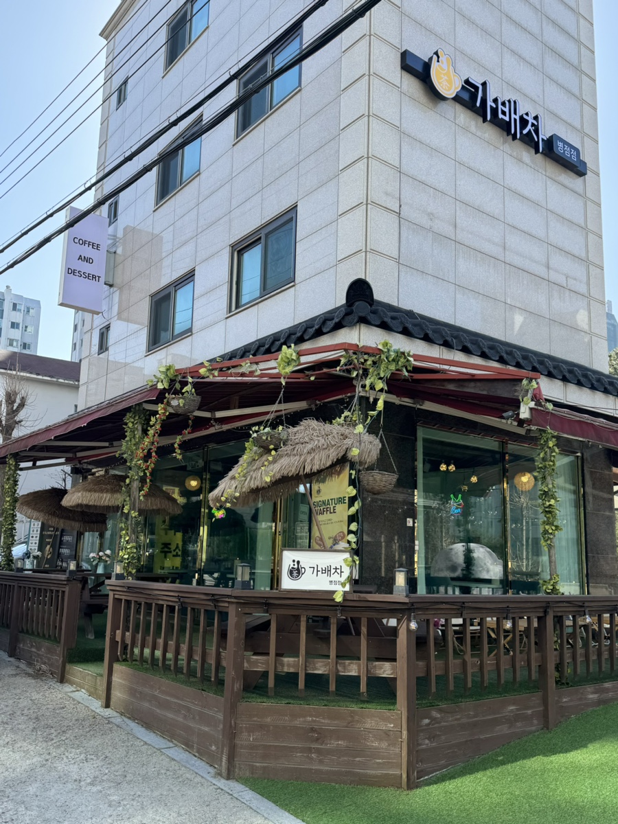 가배차 이미지