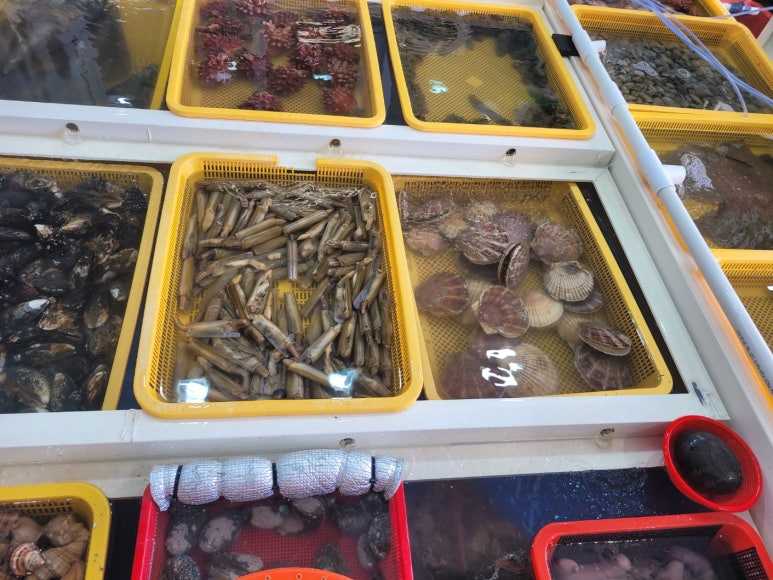 아가페수산 이미지