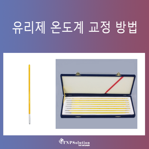 티엔피주 이미지