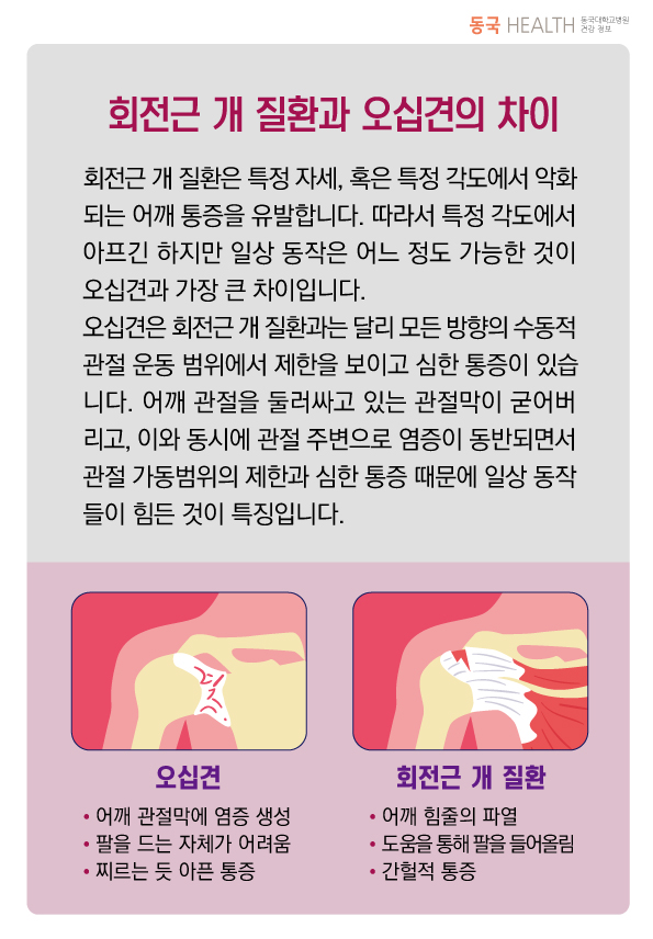 브이아이피센터 이미지