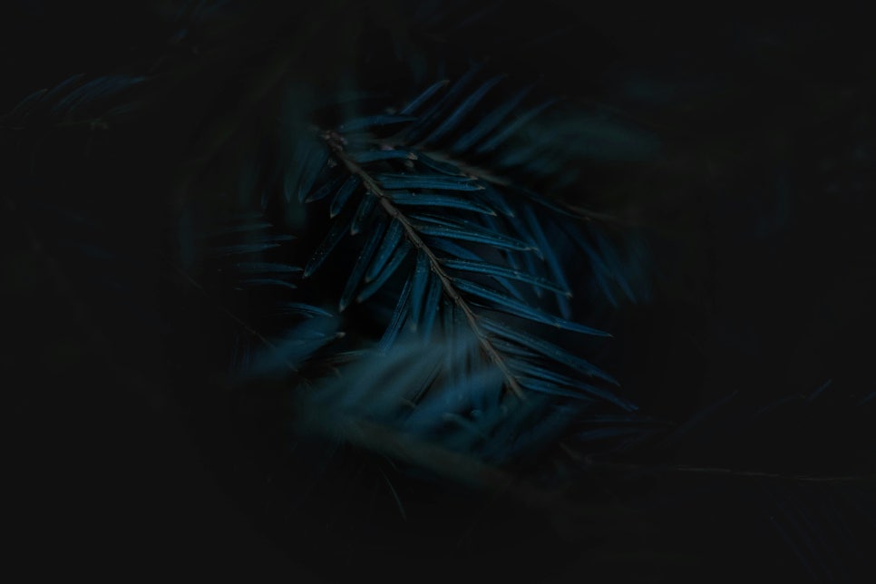 카페051신 이미지