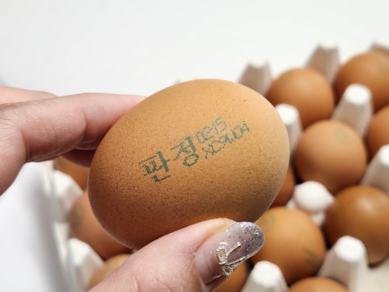 GB유통 이미지