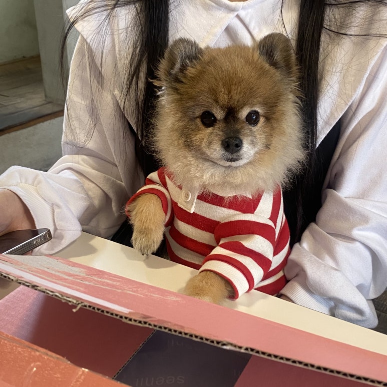 레시즌 이미지