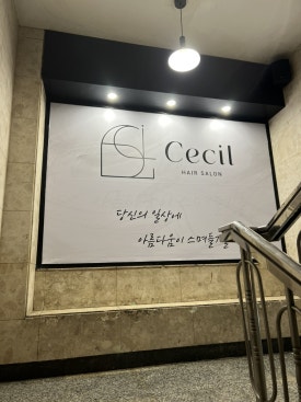 세실미용실 이미지