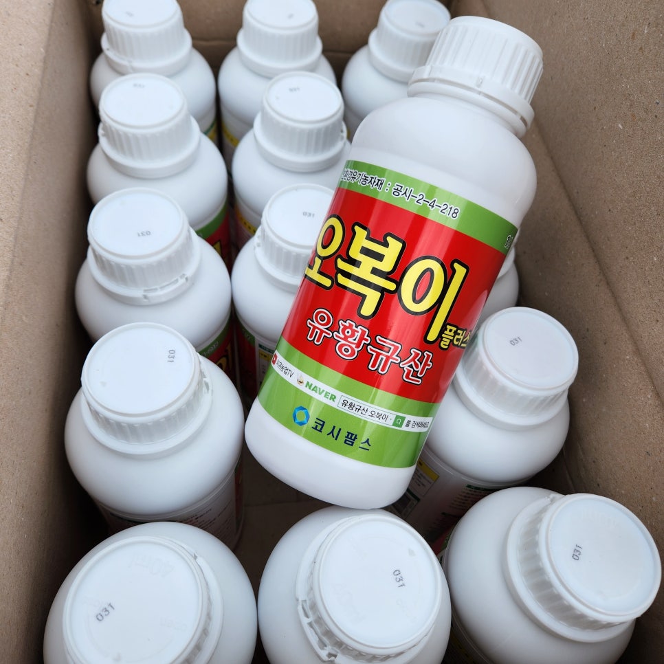 코시팜스 이미지