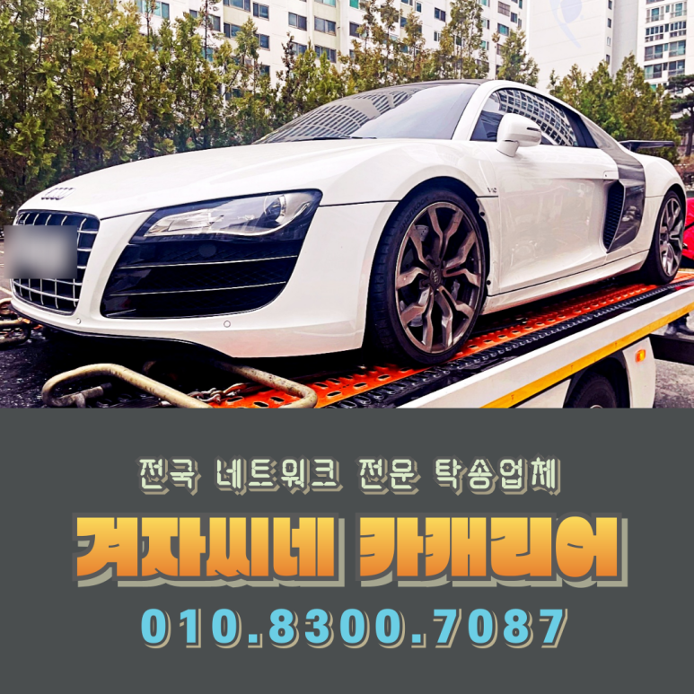 씨네카 이미지