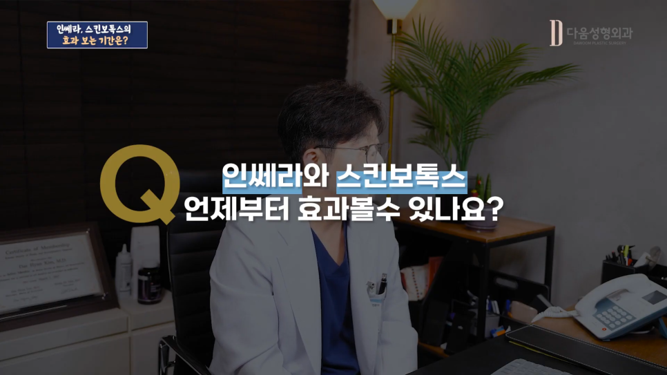 다움스킨 이미지