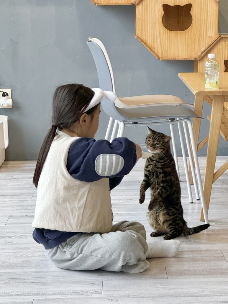 캣츠앤미 이미지