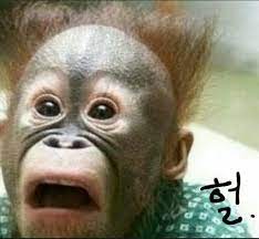 킹강정 이미지