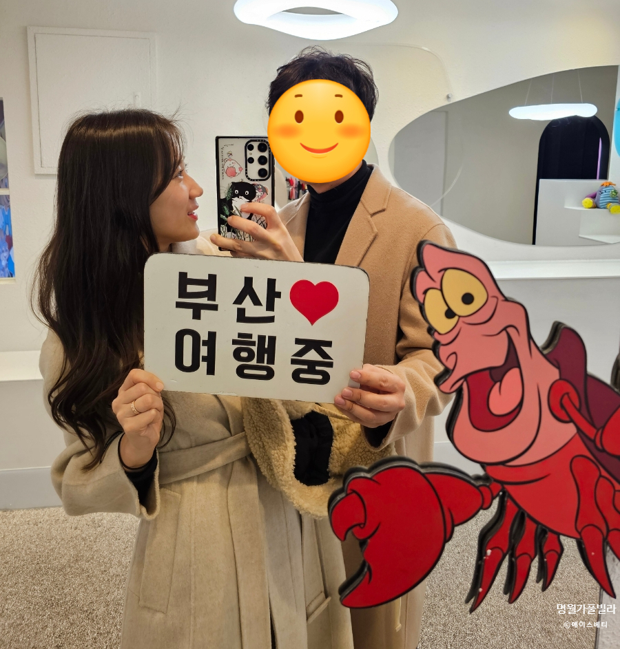 에이스풀빌라 이미지