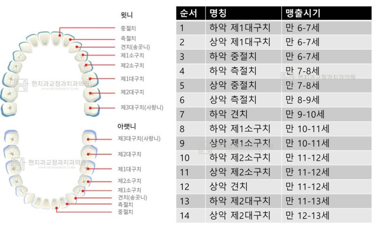 현치과교정과치과의원 이미지