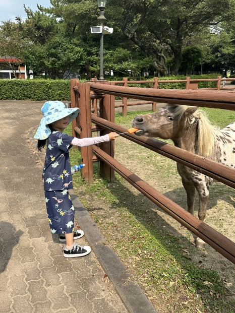 해피런승마장 이미지