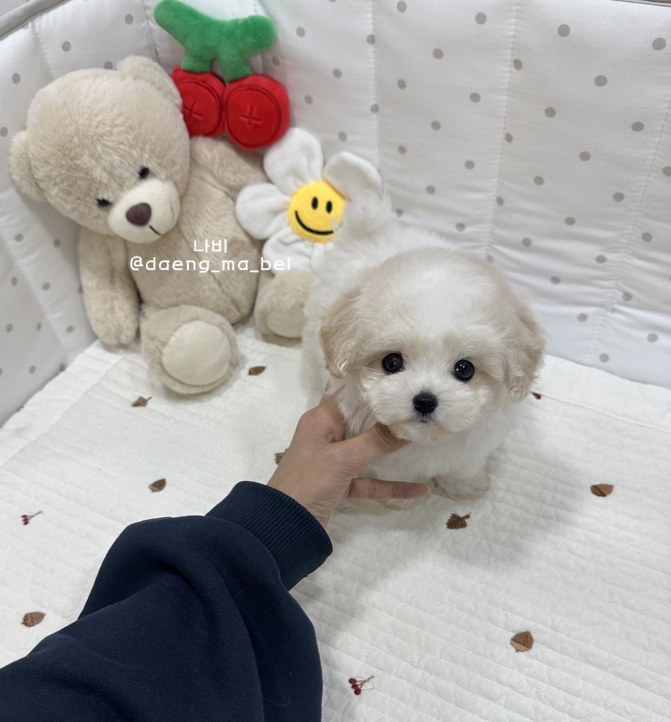 오늘도예쁜아이 이미지