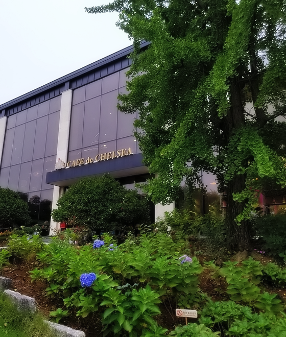 카페드첼시 이미지