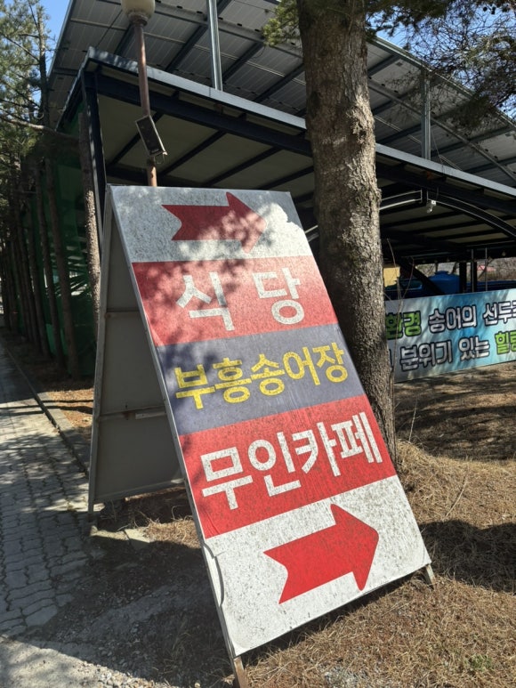 부흥횟집 이미지