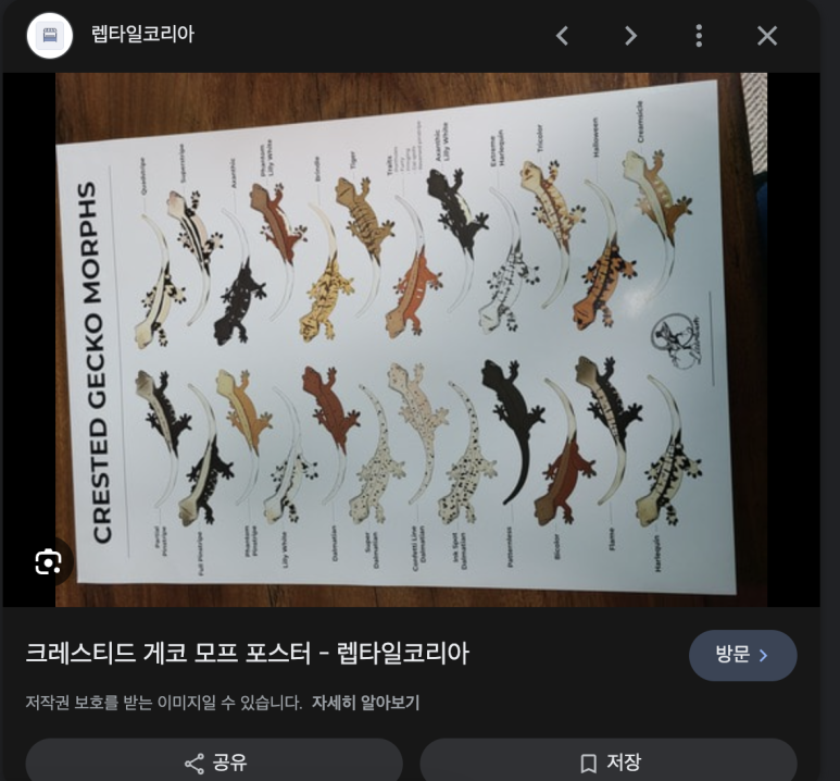 크레도니아 팔달구청점 이미지