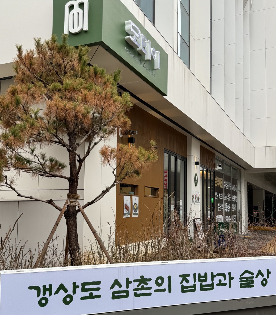티이알 이미지