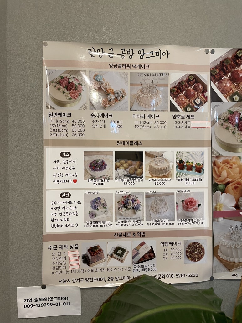 앙그미아 이미지
