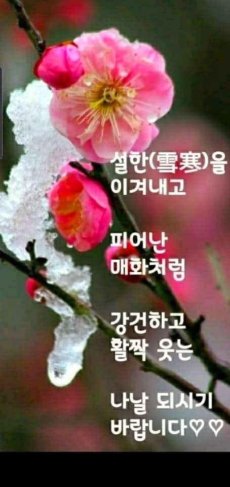 스프링카운티자이 그랑테이블1 이미지