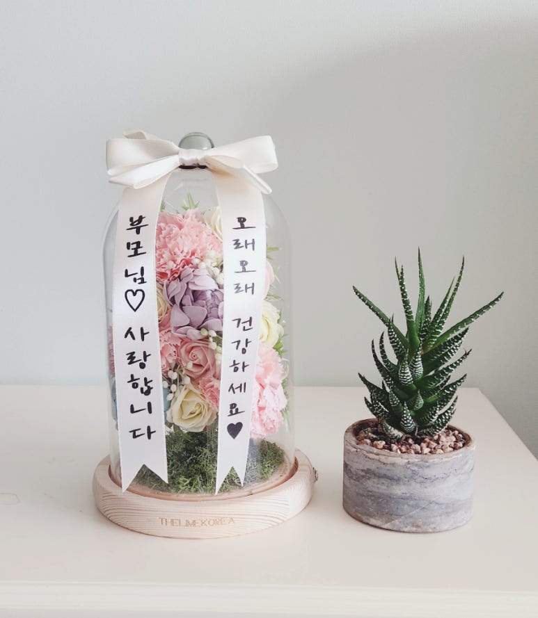비누꽃코리아 이미지
