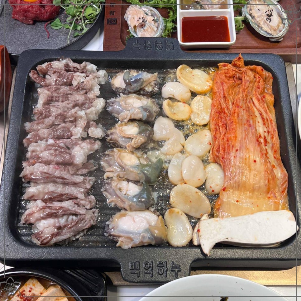 백억하누 이미지