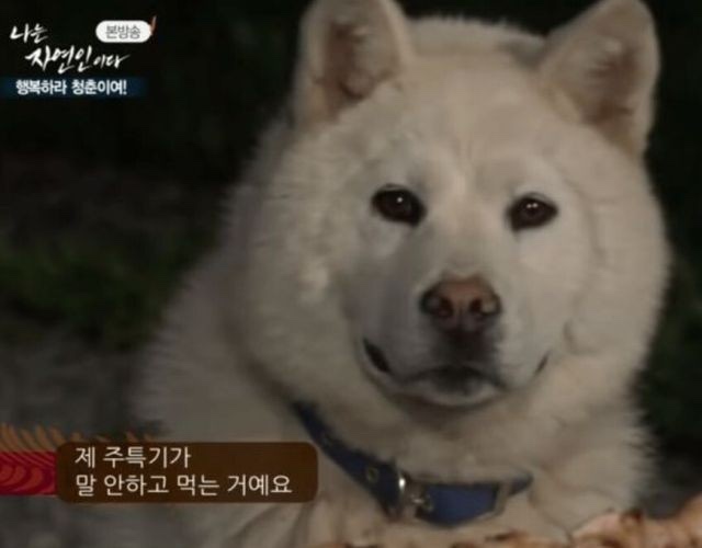 남양분식 이미지