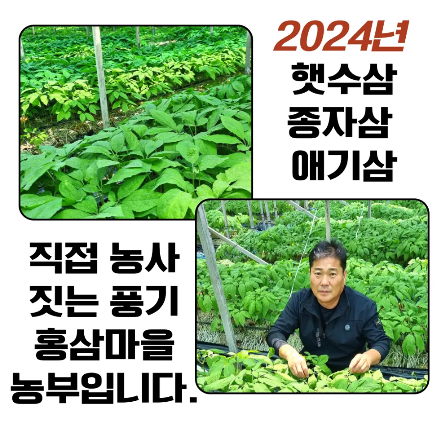 인삼마을벌꿀 이미지