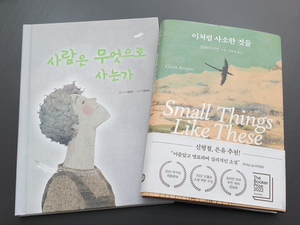 서리빛 이미지