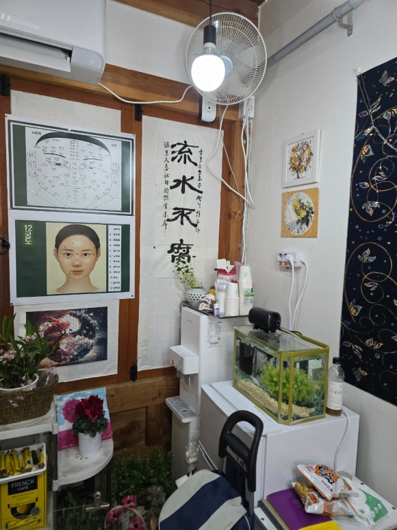 특별자치도여행사주 이미지