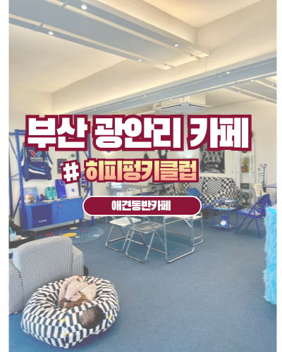 히피펑키클럽 이미지