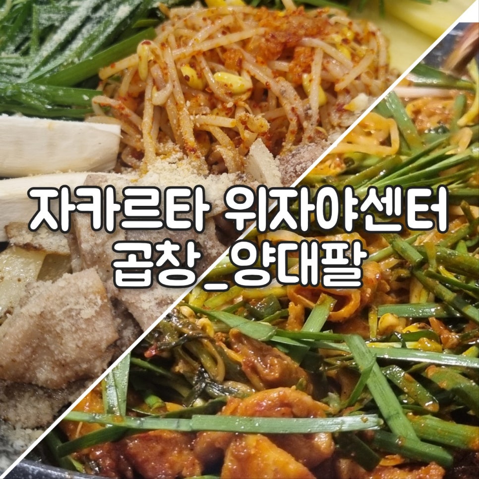 양대팔 이미지