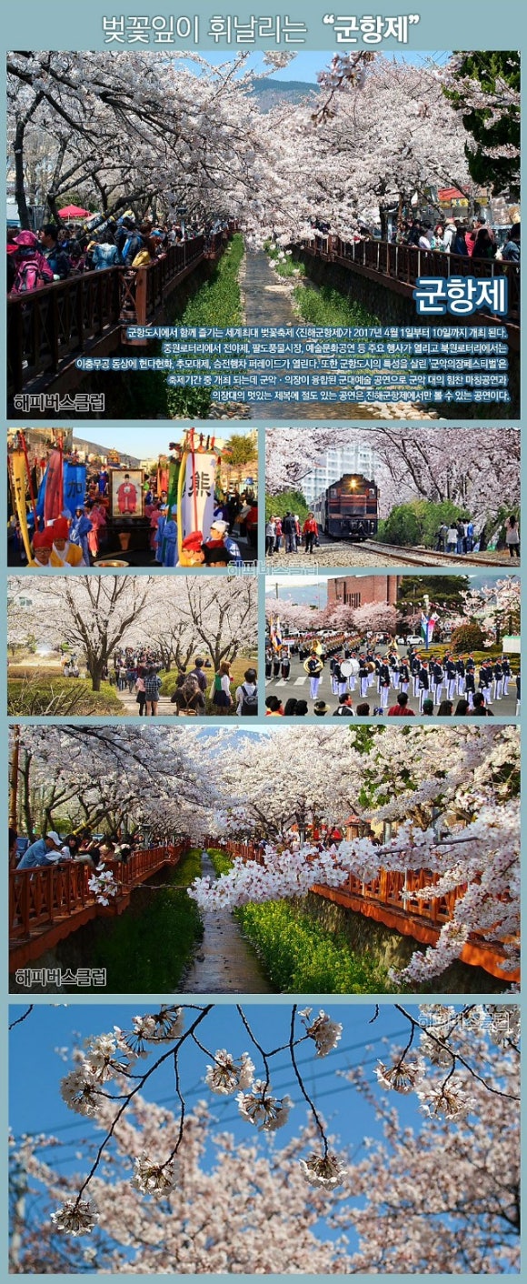 해피버스클럽여행사 이미지
