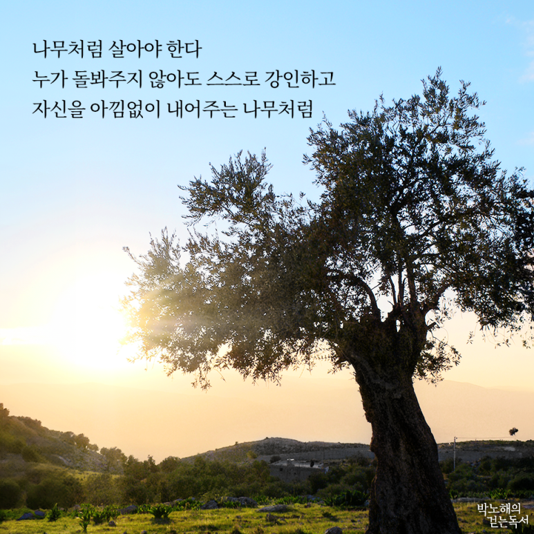 꽃자리 이미지
