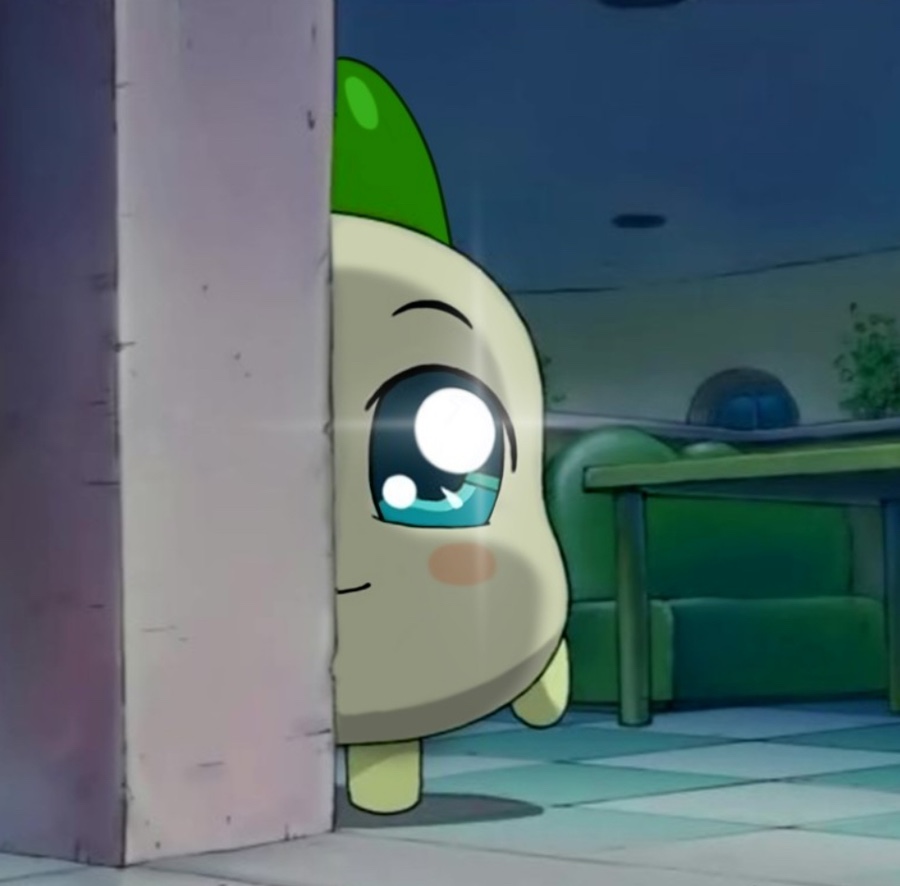 카페;오로라 이미지