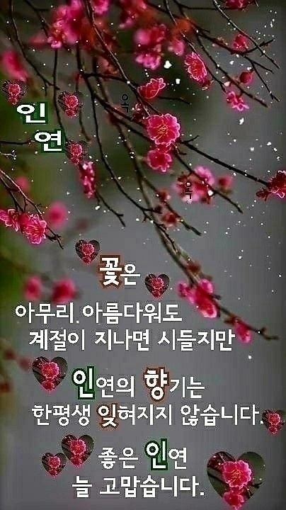 프랭크버거포항 이미지