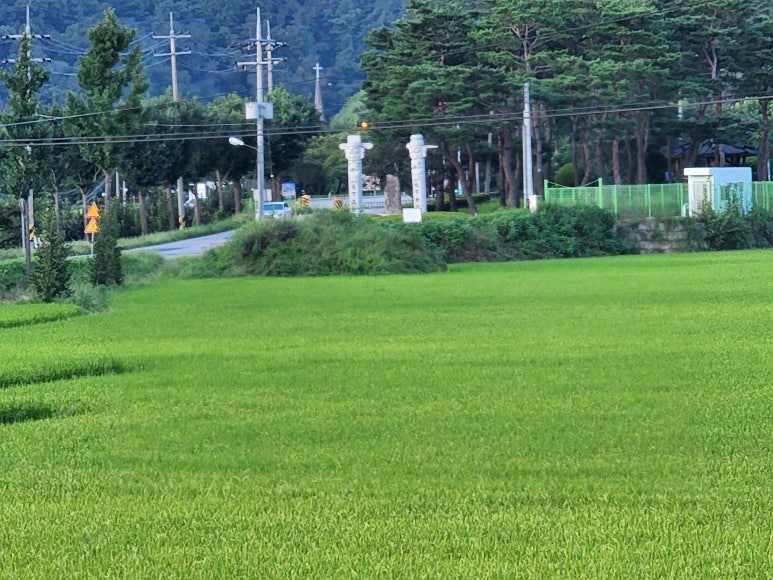 강남푸른정신건강의학과의원 이미지