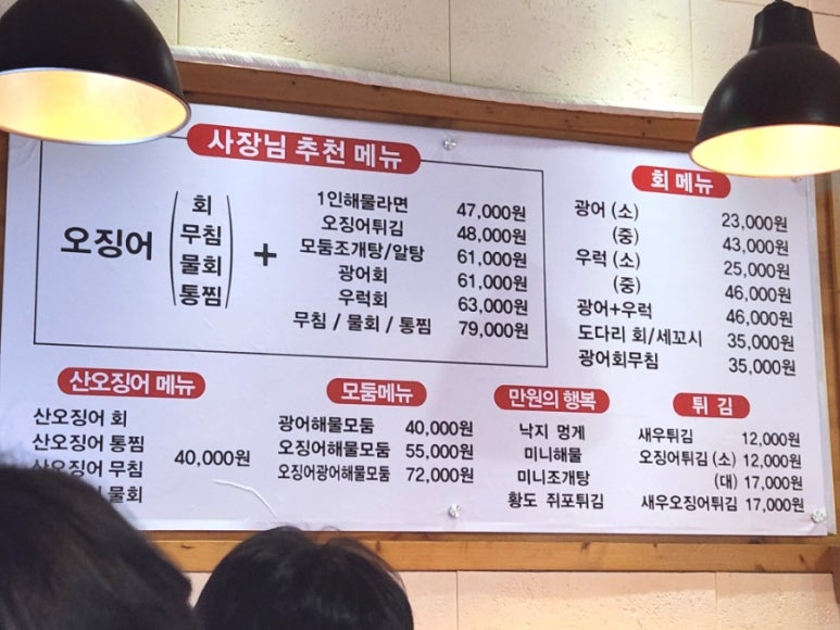 오징어나라 이미지