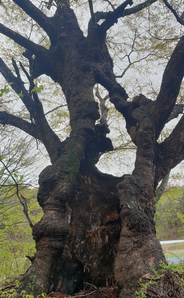 송*하 이미지