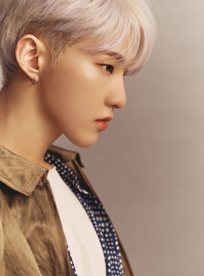 니옷내옷 이미지