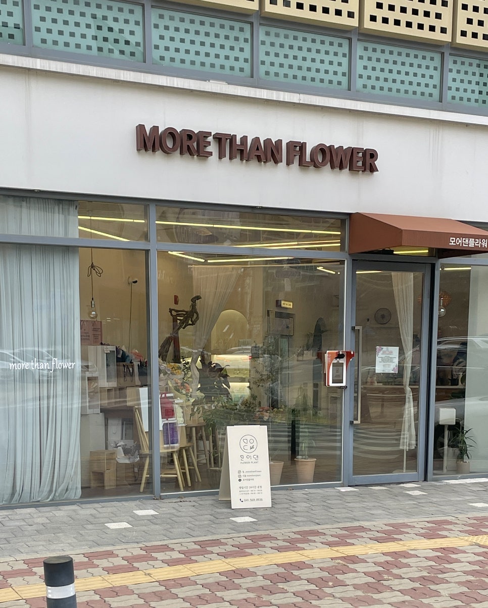 모어댄플라워 이미지