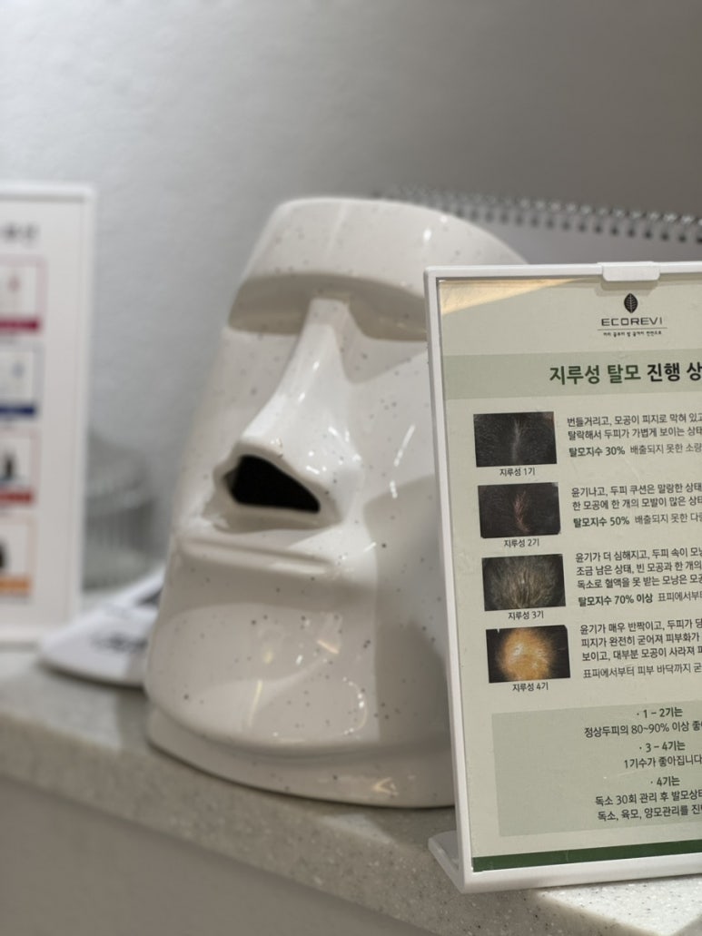 모아이818 이미지
