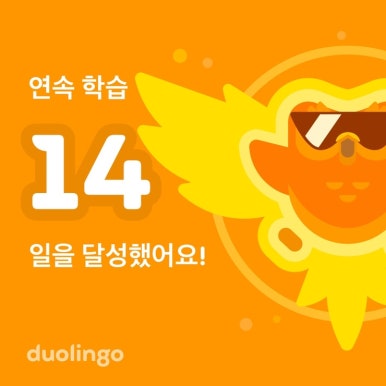 라쿵푸 이미지