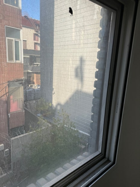 현장 사진