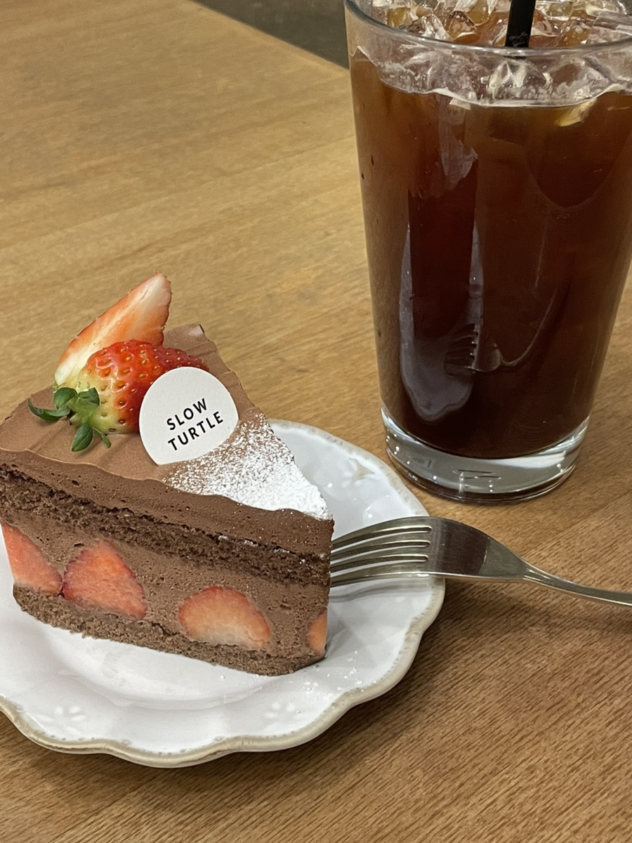 슬로우터틀 이미지