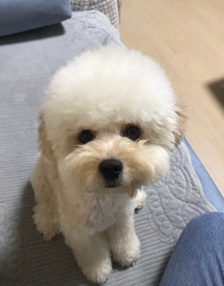 신전떡볶이하대점 이미지