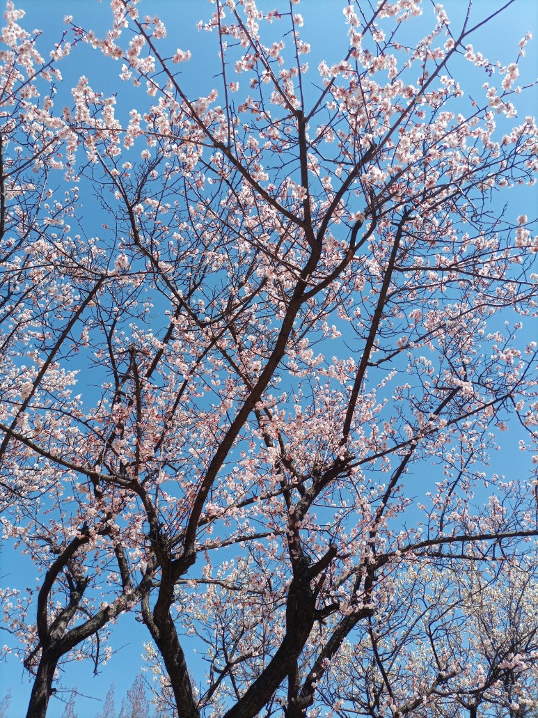 (주)스마일메디컬 이미지