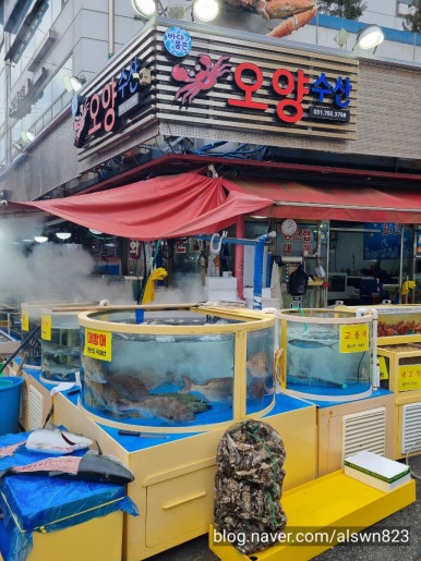 오양식당 이미지