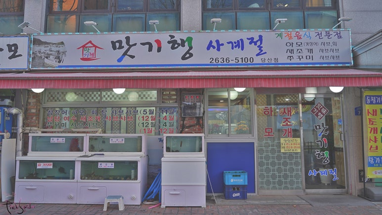 맛기행 사계절 이미지