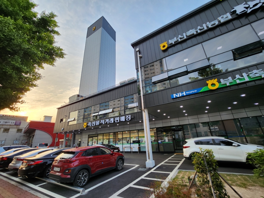 부산축산농협축산물직거래판매장 이미지